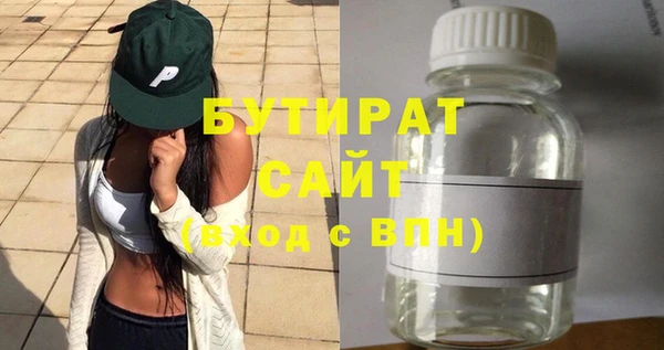 молекула духа Вяземский
