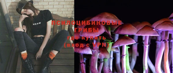 прущая мука Мегион