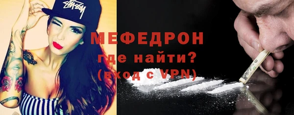 молекула духа Вяземский