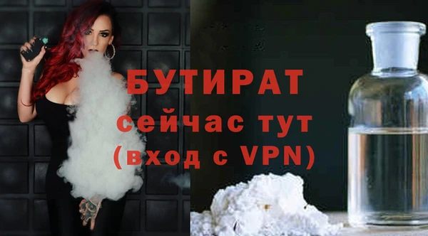молекула духа Вяземский