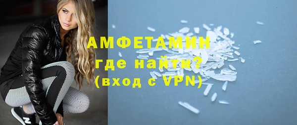молекула духа Вяземский