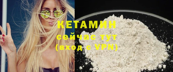 молекула духа Вяземский