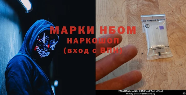 молекула духа Вяземский